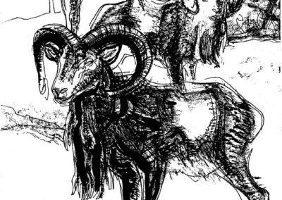 Kresby Lovectví a Myslivost „Pérovka“