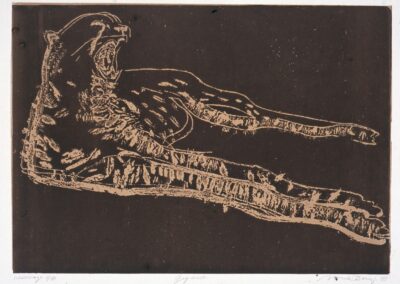 „ZOO Praha“ diplomová práce