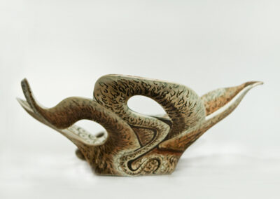 Květy moře – Chobotnice