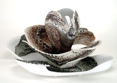 Květy moře – Muréna